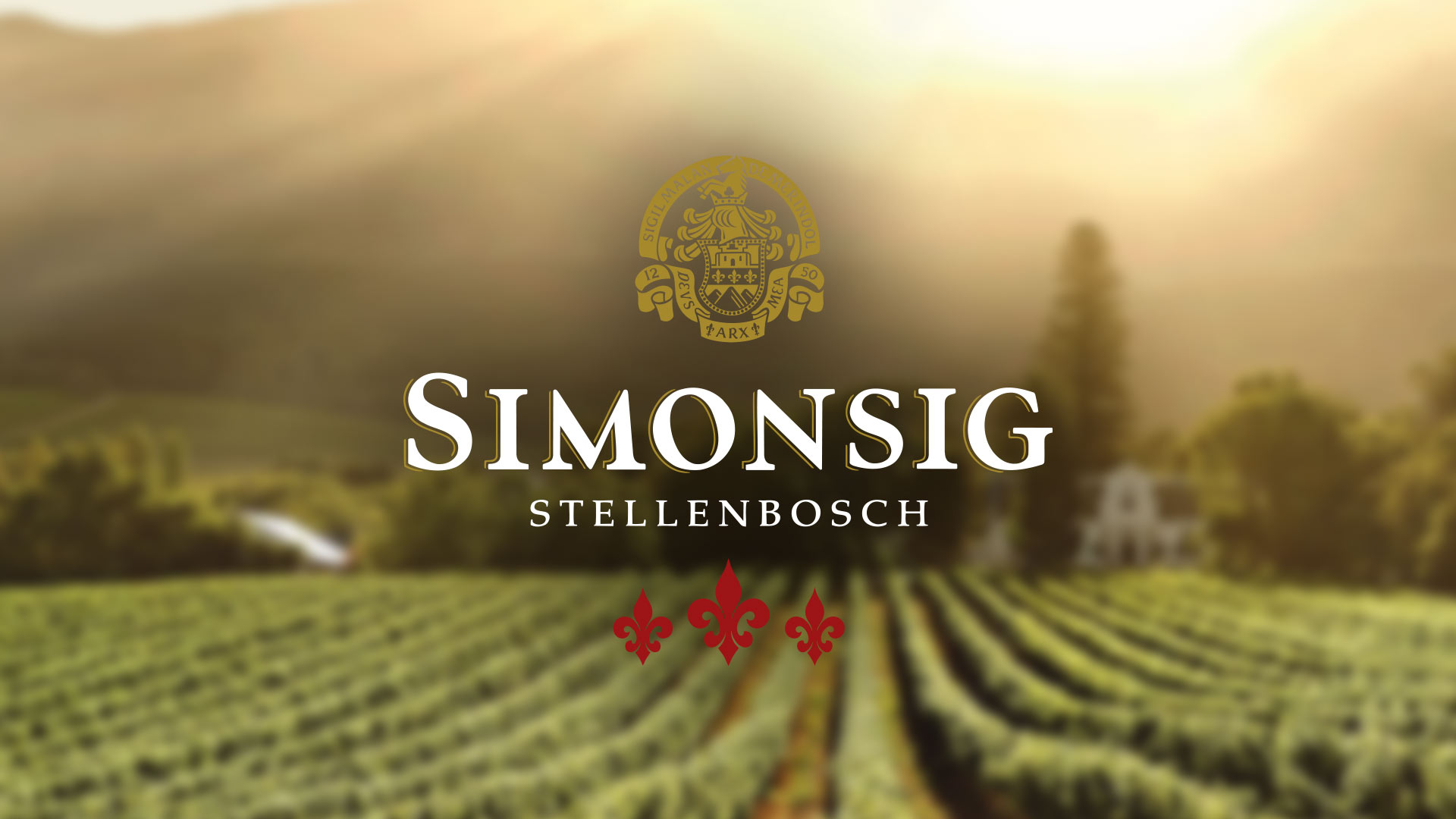 Новый мастер погреба в Simonsig
