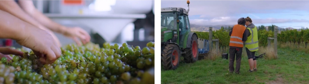 Vintage VM.jpg Vintage VM.jpg