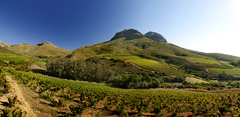 keermont-vineyards.jpg keermont-vineyards.jpg